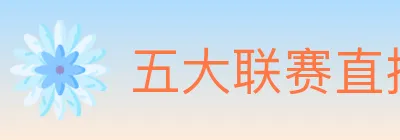 五大联赛直播 logo